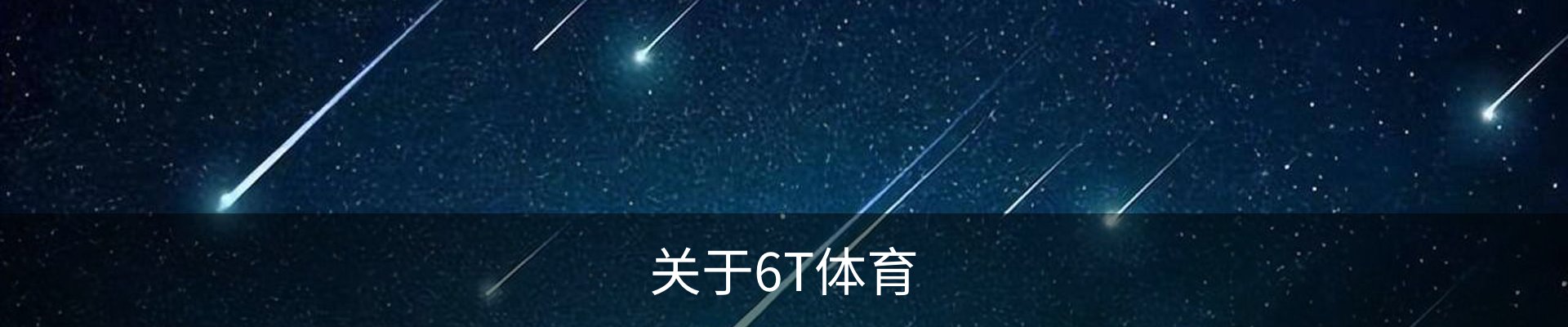 关于6T体育